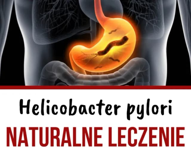 Skuteczne leki na helicobacter pylori - uniknij nieprzyjemnych objawów Skuteczne leki na helicobacter pylori - uniknij nieprzyjemnych objawów