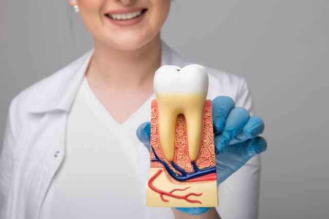 Jak usunąć korzeń zęba bez bólu - krok po kroku do zdrowego uśmiechu Jak usunąć korzeń zęba bez bólu - krok po kroku do zdrowego uśmiechu